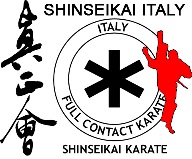 Kyokushin Shinsekai Karate